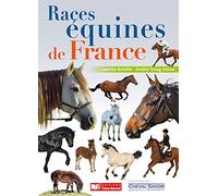 Races équines de France, chevaux, poneys et ânes
