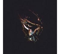 Rachel Newton - Here'S My Heart Come Take It