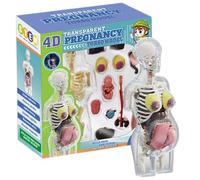 Rachlicy Modèle du Corps Humain pour Les Enfants 8, 5 Pouces Amovibles Femme Enceinte Modèle Anatomie Humaine