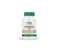 Racine de gingembre viridienne Bio 400 mg 30 gélules