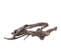 Racine de mangrove XXL N° 3017 - Racine d'aquarium - En bois naturel - Décoration d'aquarium