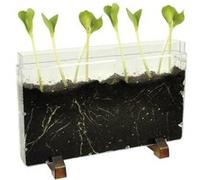 Racine/ferme pour vers Eduplay