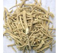Racine sèche Ashwagandha RV - 500 GM | Ashwagandha Jadi Buti Sticks Withania Somnifera Ginseng indien - Withania Somnifera Root