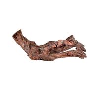 Racine - Zolux - 15/25cm - Bois - Marron - Poisson exotique