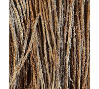 Racines de Vétiver Khamaré - Lot de 5, 10 ou 15 Tiges de Gongolili Parfum Naturel et Authentique (10)