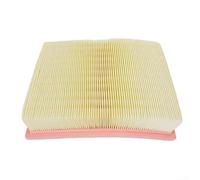 Rackumic Filtre principal 496170 pour CT 26 pour CT 36 pour aspirateur CT 48 - Matériau ABS de qualité supérieure - 22 x 19 x 4,5 cm - Filtration efficace pour des espaces de travail plus propres