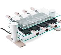 Appareil à raclette Lagrange 8 Transparence® Minéral 1000 W Blanc G