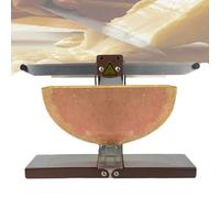 Raclette Traditionnelle Cheese Fondeur De Fromage Machine,électrique Commerciale Demi-Roue Fromage,Multifonction Angle Réglable,pour Restaurant，Puissance De 900W