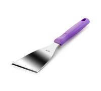 Racloir Triang 25x10 Manche Plastique