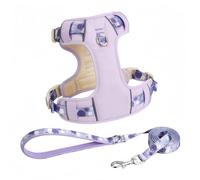 Racocou Ensemble harnais et laisse pour chien - Gilet respirant réglable anti-traction avec 2 anneaux en métal pour une promenade facile et un dressage - Pour chiens de petite et moyenne taille