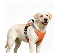 Racocou Harnais anti-évasion sans traction pour chiens de petite à moyenne taille - Support léger et durable de la poitrine et du ventre, sans étouffement avec poignée de transport, orange, M