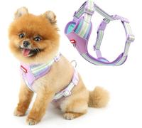 Racocou Harnais en Maille Douce pour Chiens de Petite Taille - Gilet de Marche Facile à Enfiler sans Tirer, Respirant, Réglable avec Anneau en D et Boucle de Sécurité pour la Promenade,Violet,XS