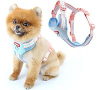 Racocou Harnais en Maille Douce pour Chiens de Petite Taille - Gilet de Marche Facile à Enfiler sans Tirer, Respirant, Réglable avec Anneau en D et Boucle de Sécurité pour la Promenade,Bleu,M