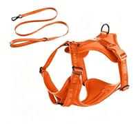 Racocou Harnais et Laisse Anti-Traction pour Chien - Répartition de la Pression en Trois Points sans Étranglement Rembourrage Respirant 3D - Ajustable pour Chiens Petits, Moyens et Grands,Orange,S