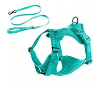 Racocou Harnais et Laisse Anti-Traction pour Chien - Répartition de la Pression en Trois Points sans Étranglement Rembourrage Respirant 3D - Ajustable pour Chiens Petits, Moyens et Grands,Vert,M