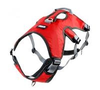 Racocou Harnais pour Chien à Double Gilet Multi-Points - Amorti et Absorption des Chocs pour la Protection des os - Boucles en Alliage entièrement réglables - pour Chiens Moyens à Grands,Rouge,S