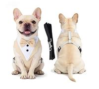 Racocou Harnais Tactique Anti-Traction pour Chien Gilet réglable réfléchissant Facile à Mettre/enlever pour l'entraînement et la Promenade, Chiens Petits, Moyens et Grands,Blanc,M
