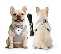 Racocou Harnais Tactique Anti-Traction pour Chien Gilet réglable réfléchissant Facile à Mettre/enlever pour l'entraînement et la Promenade, Chiens Petits, Moyens et Grands,Gris,M