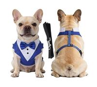 Racocou Harnais Tactique Anti-Traction pour Chien Gilet réglable réfléchissant Facile à Mettre/enlever pour l'entraînement et la Promenade, Chiens Petits, Moyens et Grands,Bleu,L