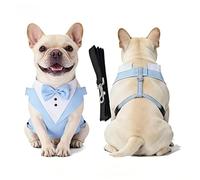 Racocou Harnais Tactique Anti-Traction pour Chien Gilet réglable réfléchissant Facile à Mettre/enlever pour l'entraînement et la Promenade, Chiens Petits, Moyens et Grands,Chrome,L
