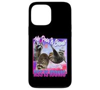 Racoon - Douleur est Chronique mais Mon Cul est Iconique Coque pour iPhone 13 Pro Max