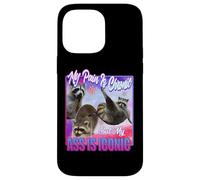 Racoon - Douleur est Chronique mais Mon Cul est Iconique Coque pour iPhone 14 Pro Max