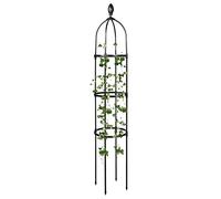 RADAAB Obélisque de Jardin Treillis Plante Grimpante Extérieur - Stable Cage à tomates, métal de 115x 25.4cm，145x31.7cm，175x31.7cm pour Plantes Grimpantes et Vignes (Size : 25.4x175cm/10x69in)