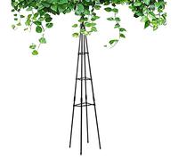 RADAAB Tuteur de Jardin,Support pour Plantes grimpantes Pyramide en métal 90 à 180cm,métal, à Poser,Treillis pour d'Extérieur, Colonne Rosier, Arche Plante grimpante, Black (Size : 71"/180cm H)