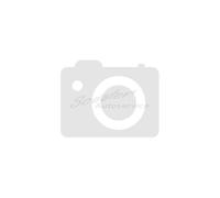 RADAR 225/55 R17 101W Pneu 4 saisons XL