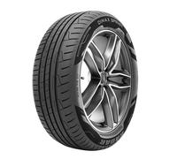 PNEUS D’ÉTÉ RADAR 215/60 R17 96V DIMAX SPRINT M+S