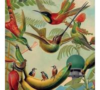Artistes variés – Radar Keroxen Vol.4 – Vinyle – Victrola