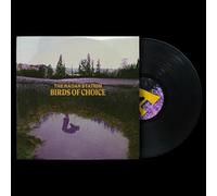 Radar Station - Birds of Choice