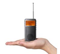Raddy RF205 FM Portable Radio, BT 5,3 Mini Radio de Poche, Sortie de Signal FM vers BT, Haut-Parleur Lecteur de Musique MP3, fonctionnant sur Batterie, Chargement Type-C, Réveil, Gris