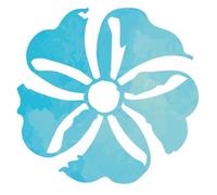 RADHESHYAM INCIENSO STICK AFRODISIA 12uds. SCENTED - s’intègre facilement dans une routine de tous les jours, produit spécialisé pour un usage quotidien, coffret de 12 pièces et est conçu pour offrir