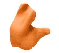 Radians - Bouchons d'oreilles moulés sur mesure, CEP001-O