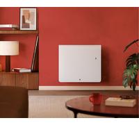 Radiateur électrique chaleur douce 1000W EQUATEUR 5 Horizontal Blanc - THERMOR 428388