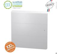 Radiateur bloc fonte INTUIS Axoo connecté - 1250W Horizontal Blanc