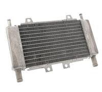 Radiateur compatible avec Piaggio Zip C25, compatible avec Gilera Runner