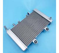 Radiateur Compatible avec Shineray pour ST-9E pour Stixe 250CC ATV Quad de réservoir Refroidissement à Eau Pièces de Moto