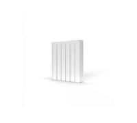 Radiateur connecté BELIZE II 5 éléments 1000W Blanc - ROINTE - BRFW1000RAD3