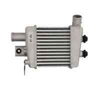 Intercooler THERMOTEC DA03003TT
