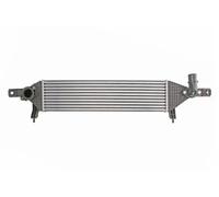 Intercooler THERMOTEC DA1004TT