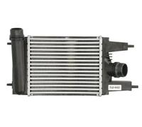 Refroidisseur d'air d'admission THERMOTEC DA1014TT