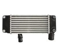 Intercooler THERMOTEC DA2005TT