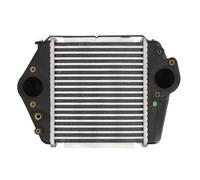 THERMOTEC DA3004TT Intercooler
