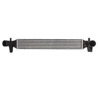 THERMOTEC DAA006TT Intercooler