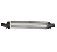 Intercooler THERMOTEC DAA024TT