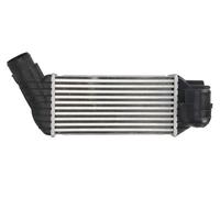 Intercooler THERMOTEC DAC017TT