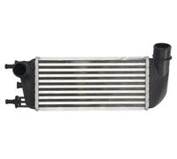 Intercooler THERMOTEC DAF010TT