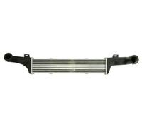 Thermotec Intercooler DAM010TT